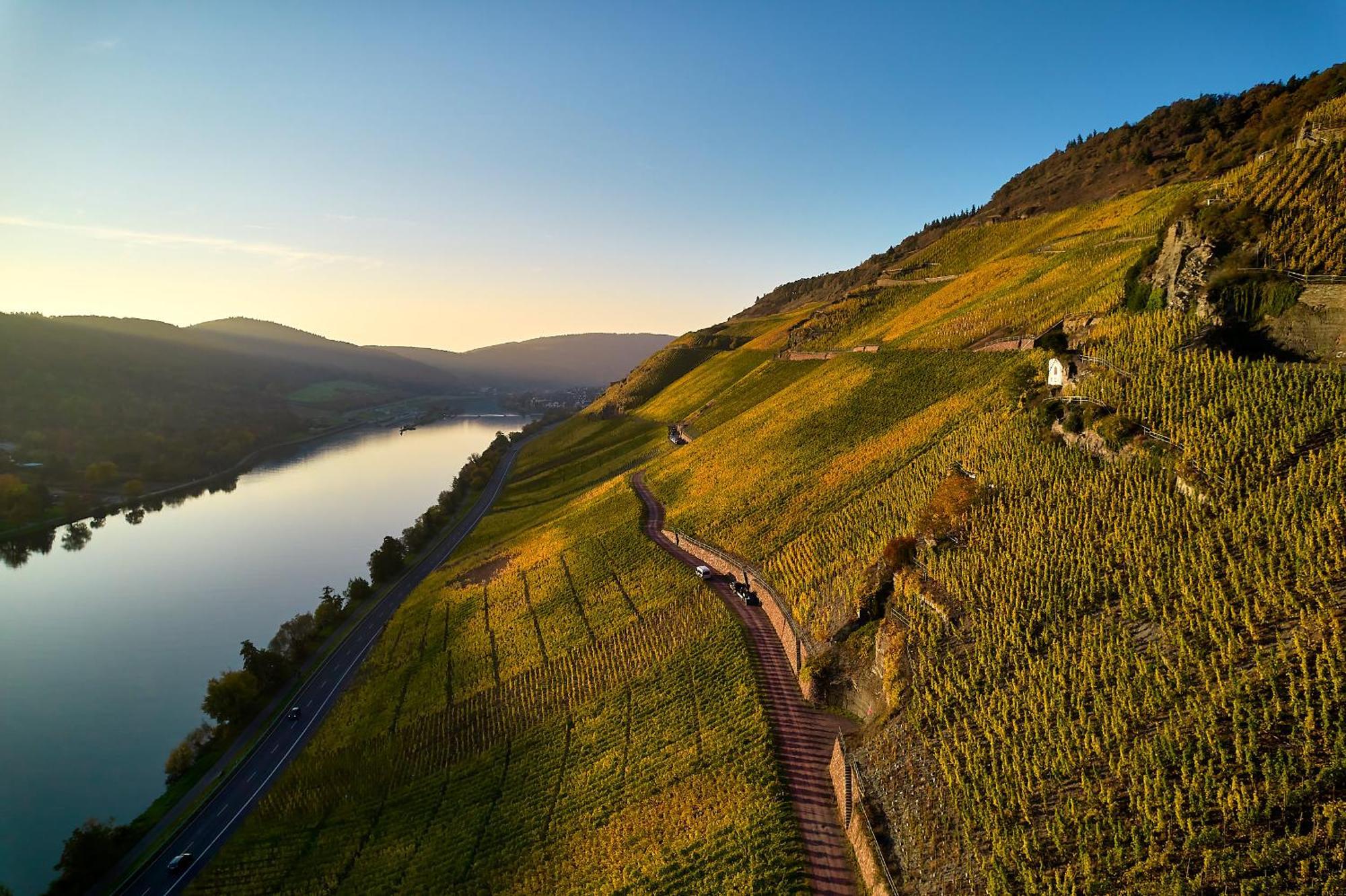 Sonnenuhr Bed & Breakfast Bernkastel-Kues Bagian luar foto
